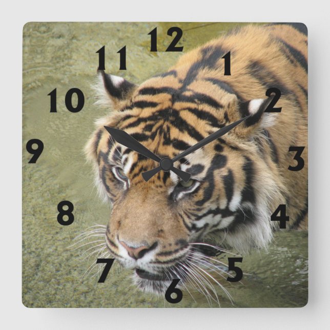 Square Tiger Clock (Front)