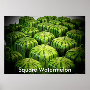 Square Watermelon Print