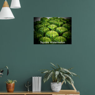Square Watermelon Print