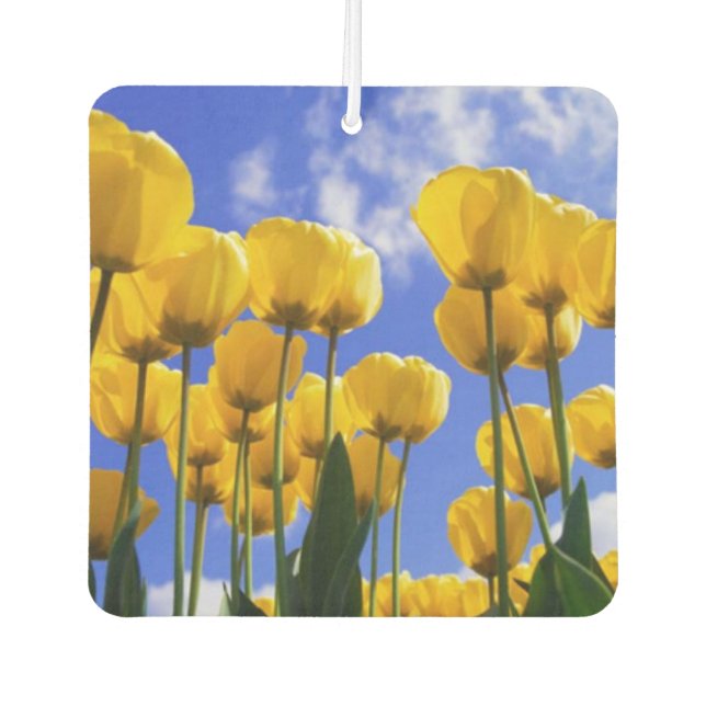 Square Yellow Tulips Air Freshener (Front)