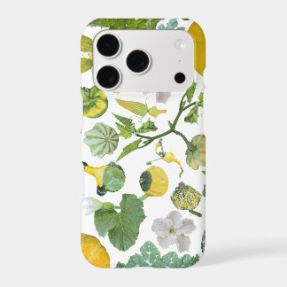 Squash Garden
