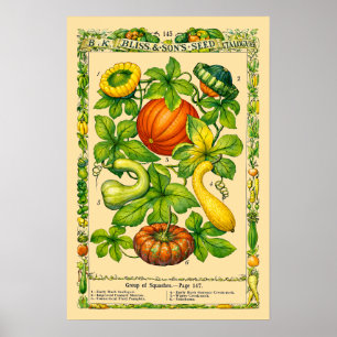 Squash Retro Victorian Era Botanical Art Poster