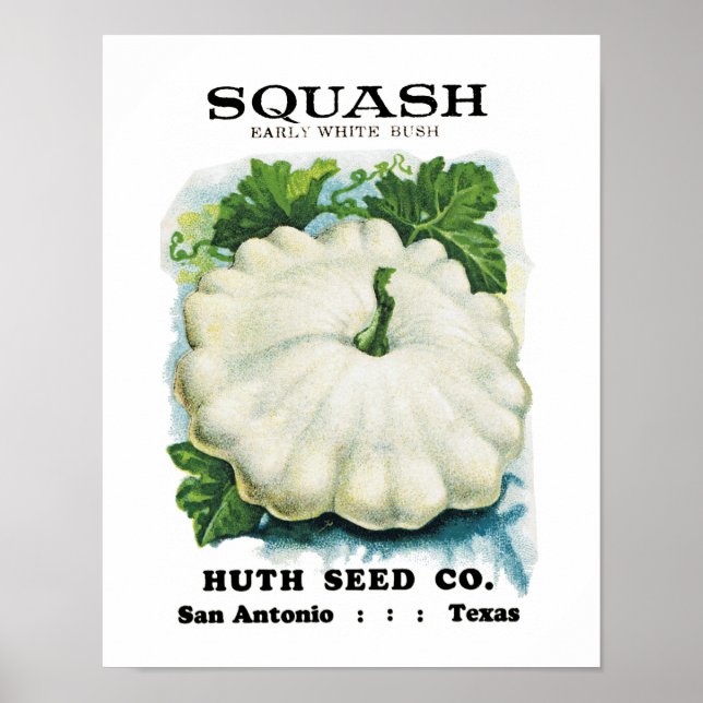 Squash Seed Packet Label Poster (Front)