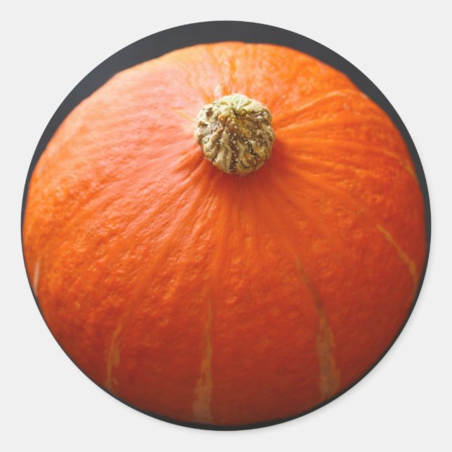 Squash Stickers (Front)