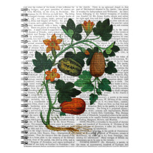 Squash Vine 1 Notebook