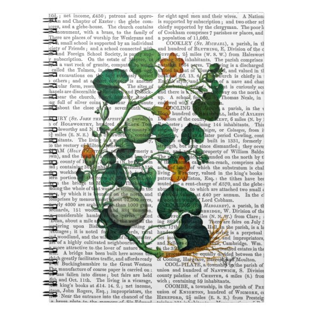 Squash Vine 2 Spiral Notebook (Front)