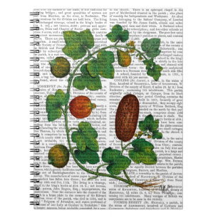 Squash Vine 3 Spiral Notebook