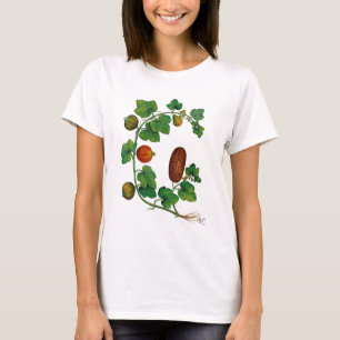 Squash Vine 3 T-Shirt