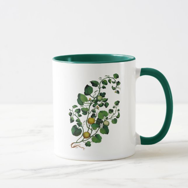 Squash Vine 4 Mug (Right)