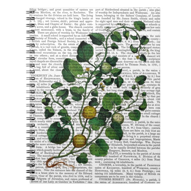 Squash Vine 4 Spiral Notebook (Front)