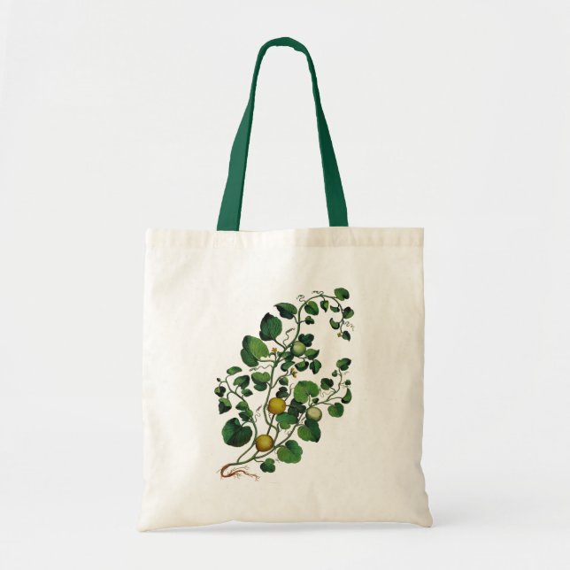 Squash Vine 4 Tote Bag (Front)