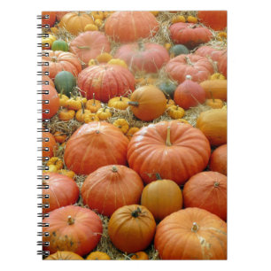 Squashes Galore Spiral Notebook
