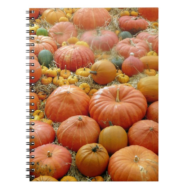 Squashes Galore Spiral Notebook (Front)
