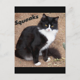 Squeaks Postcard