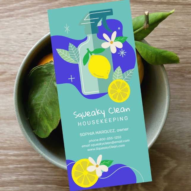 Squeaky Clean Marketing Rack Card (Creator Uploaded)