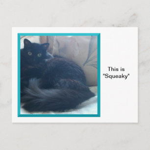 Squeaky On a Postcard