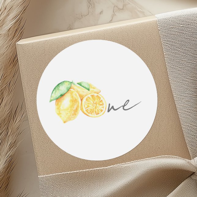 Squeeze Lemon Citrus Summer Baby First Birthday Classic Round Sticker (Creator Uploaded)