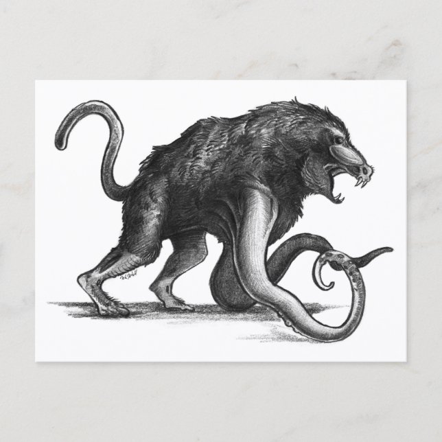 Squiboon - Postcard (Front)