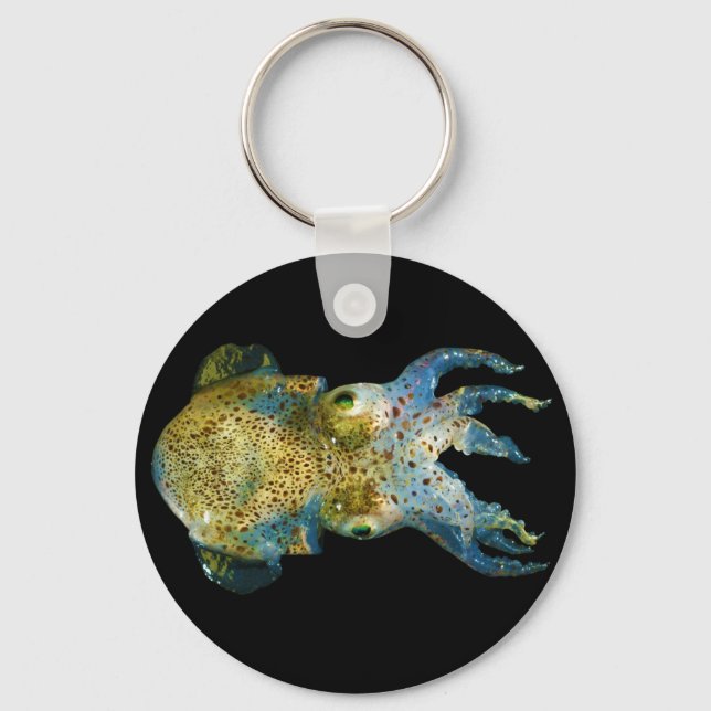 Squid Bobtail Dumpling Stubby Sepiola Atlantica Key Ring (Front)