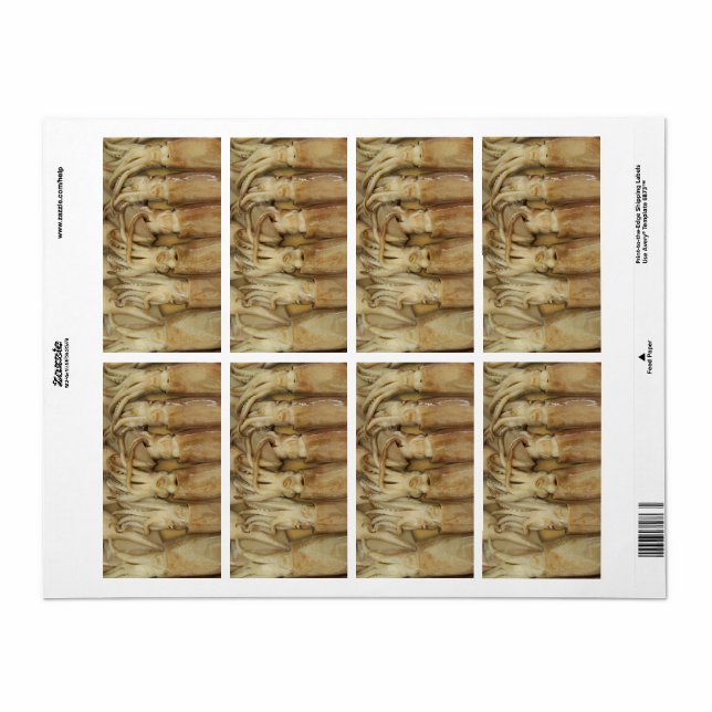 Squid - Calamari (Full Sheet)