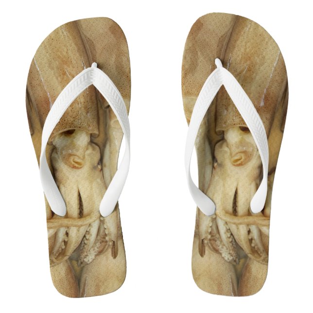 Squid - Calamari Jandals (Footbed)