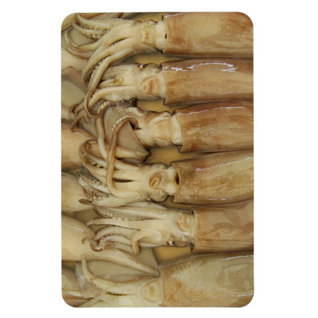 Squid - Calamari Magnet (Vertical)