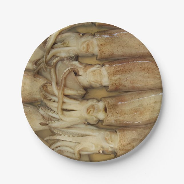 Squid - Calamari Paper Plate (Front)