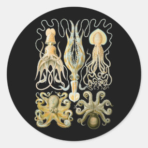 Squid & Octopus Classic Round Sticker