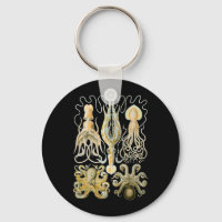 Squid & Octopus