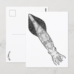 Squid Postcard