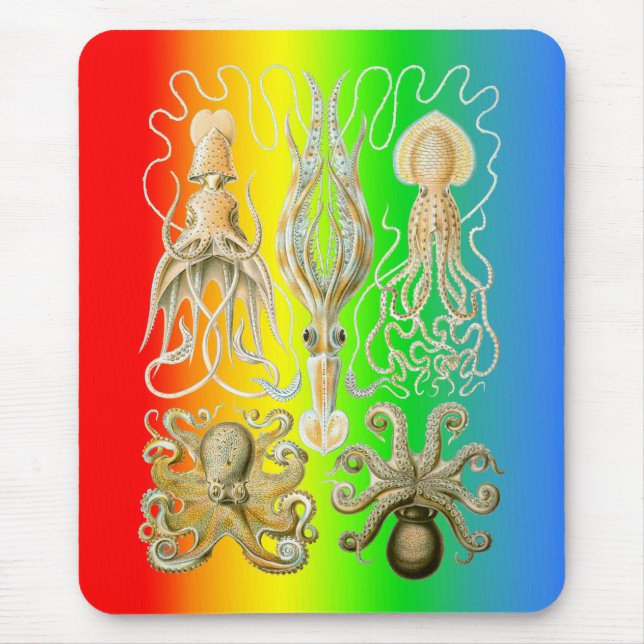 Squids and Octopods Mouse Pad (Front)