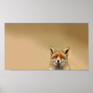 Squinty Eye Fox Poster