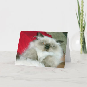 Squinty Himmy Birthday Card