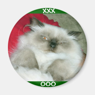 Squinty Himmy Magnet