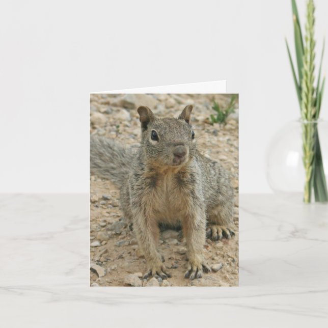squirel card (Front)