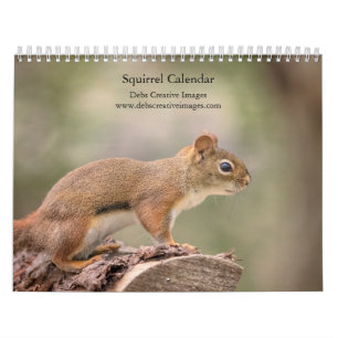 Squirrel 2026 Calendar – Wildlife Photography