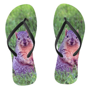 Squirrel 6705 jandals