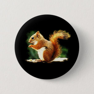 Squirrel 6 Cm Round Badge