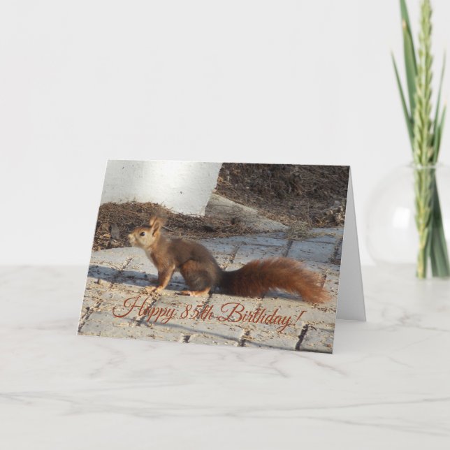 Squirrel 85th Birthday Card (Front)