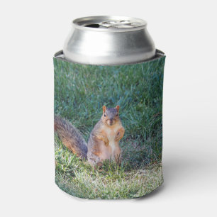Squirrel 95 can cooler