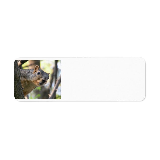 Squirrel address label (Front)