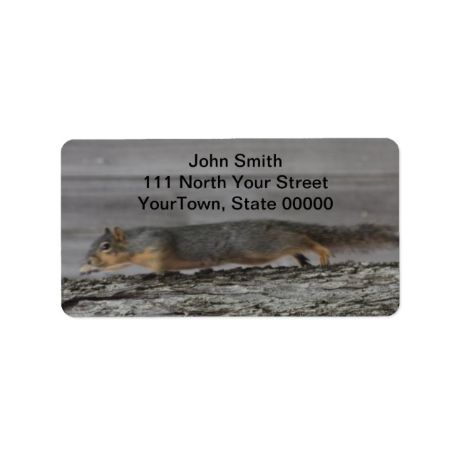 Squirrel Address Labels (Front)