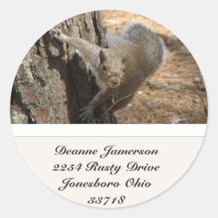 Squirrel Address Stickers