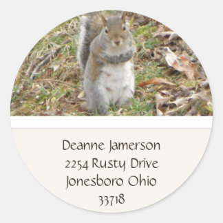 Squirrel Address Stickers