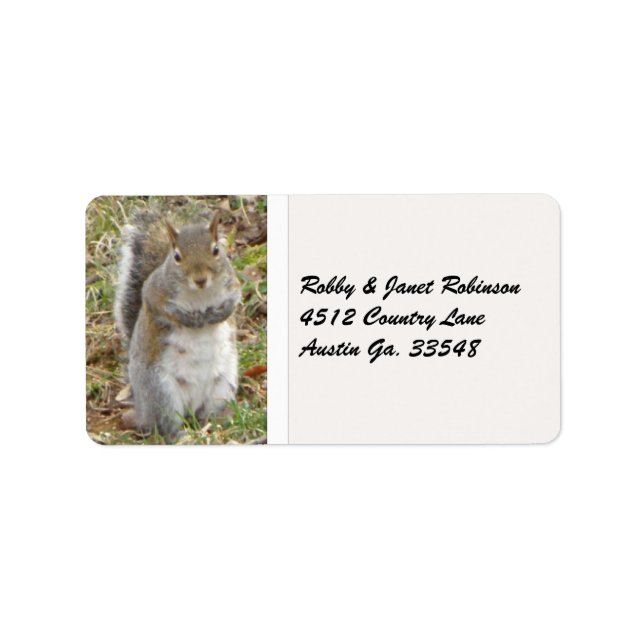 Squirrel Address Stickers (Front)