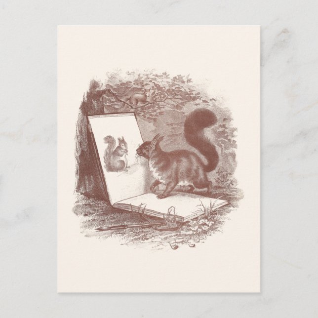 Squirrel Admires Sketch of Self Postcard (Front)