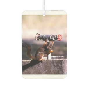 Squirrel airfreshener car air freshener