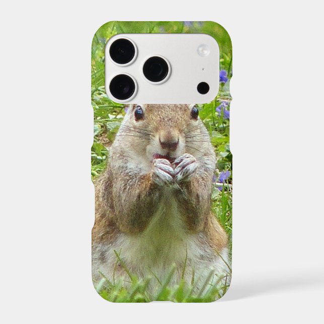 Squirrel Amongst Wild Violets (Back)