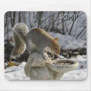 Squirrel And Bird Feeder with Your Initials Mouse Pad