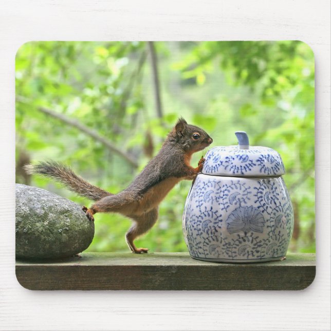 Squirrel and Cookie Jar Mouse Pad (Front)